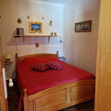 - Vue Mont-blanc Apartment *